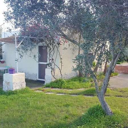 Borgo Degli Ulivi Depandance Villa คาโปแตร์รา ภายนอก รูปภาพ