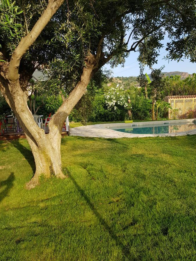 Borgo Degli Ulivi Depandance Villa คาโปแตร์รา ภายนอก รูปภาพ